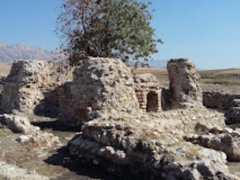 ثبت ملی درخت آتشکده خالو خالو گیلانغرب کرمانشاه + تصاویر