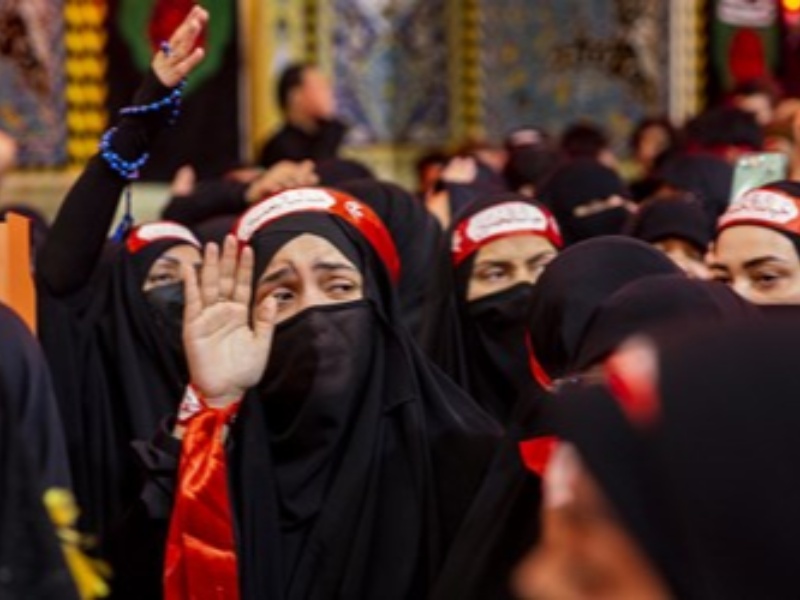 هوای عشق و دلدادگی اربعیت در کربلا+عکس