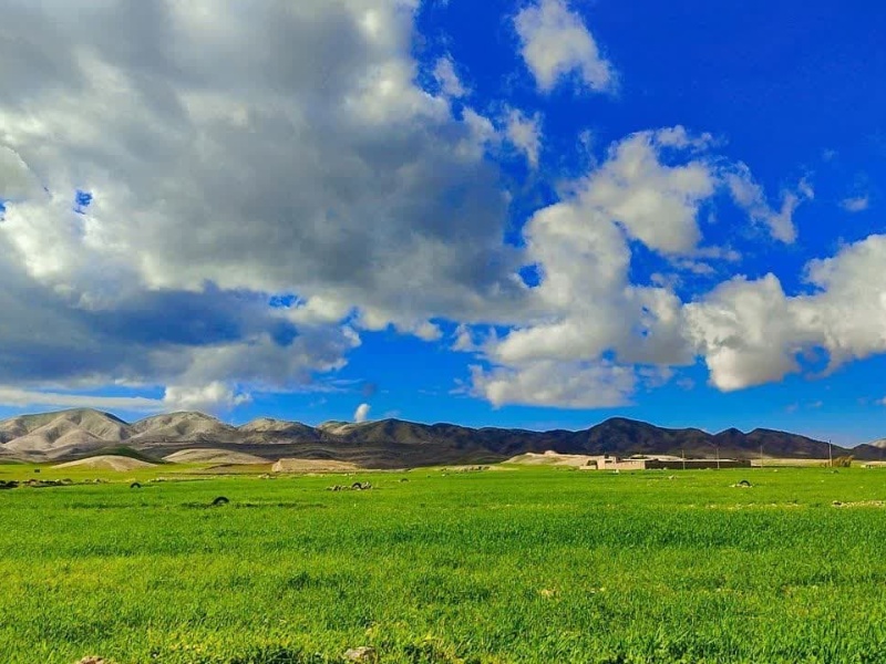 تابلوی هزار رنگ و جادویی بهار در گیلانغرب