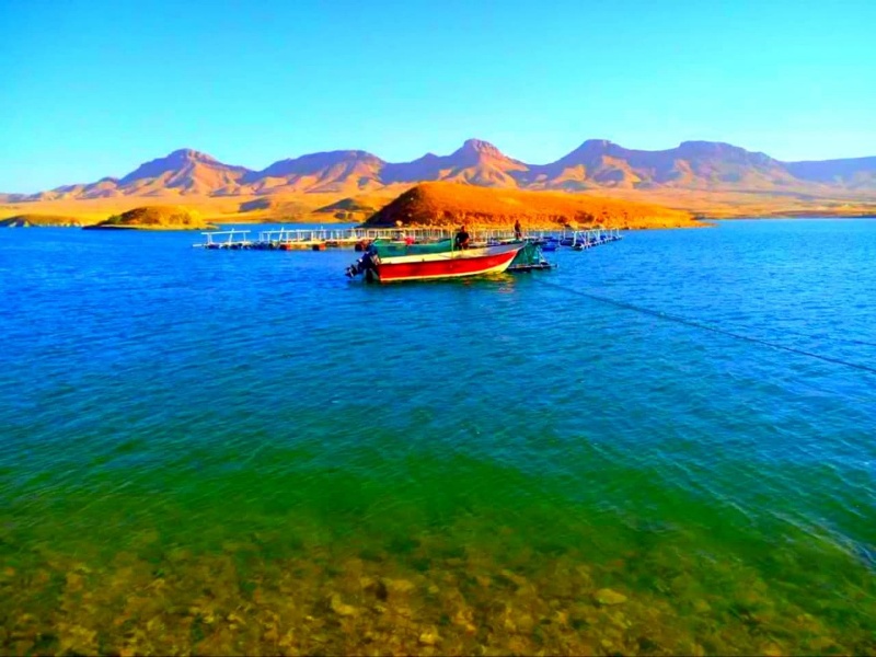 پرورش “ماهی در قفس” پتانسیل بالقوه اشتغال در گیلانغرب پرورش “ماهی در قفس” پتانسیل بالقوه اشتغال در گیلانغرب