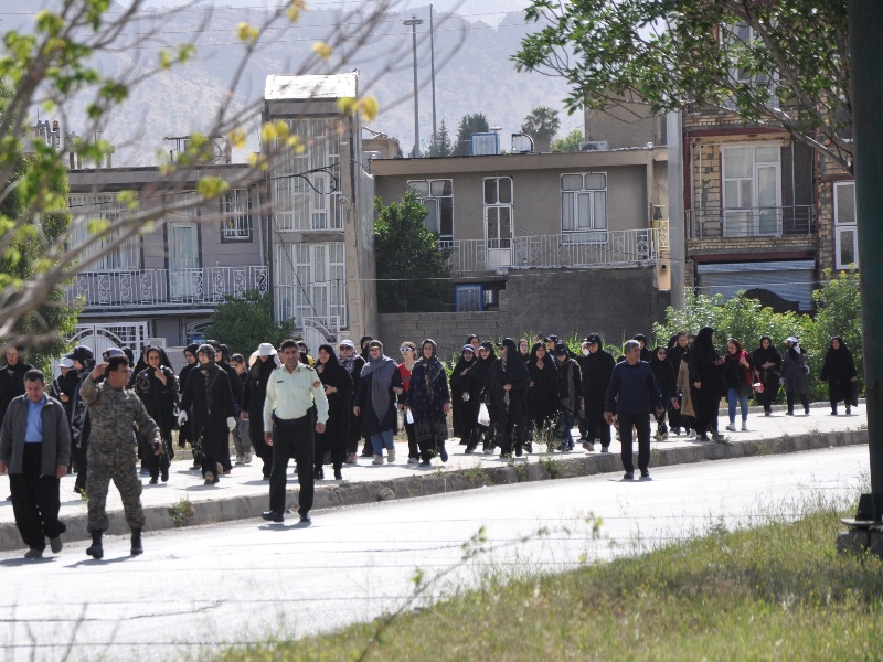 پیاده روی بانوان در گیلانغرب  برگزار شد+عکس
