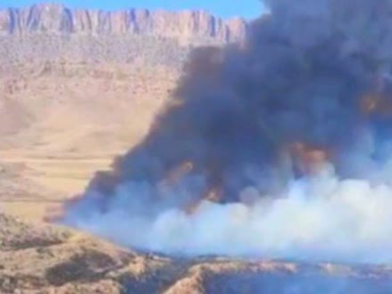 آتش بیش از 56 هکتار مزارع گیلانغرب را سوزاند + فیلم