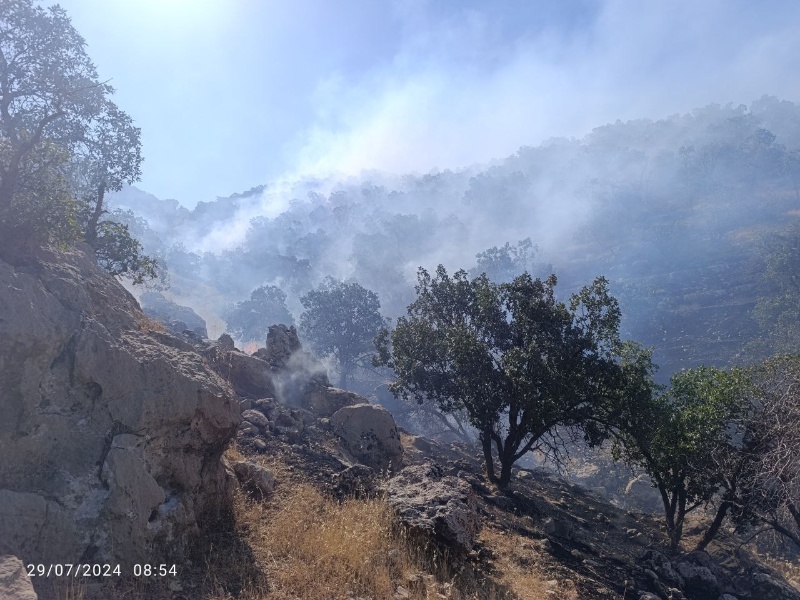 تداوم تراژدی آتش دردل جنگلهای گیلانغرب/باز هم + عکس و فیلم تداوم تراژدی آتش دردل جنگلهای گیلانغرب/باز هم + عکس و فیلم