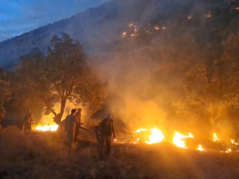 آتش سوزی جنگل و مراتع؛ چالش اکوسیستم و منابع طبیعی