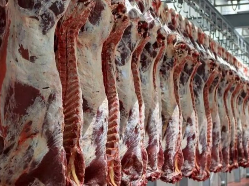 قیمت گوشت قرمز در بازار منطقی نیست