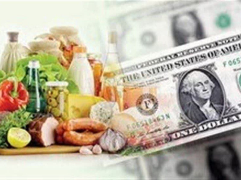 یارانه‌های مُسکن‌وار، درد اقتصاد را درمان نمی‌کند؛ راه‌حل، حفظ ارزش پول ملی است