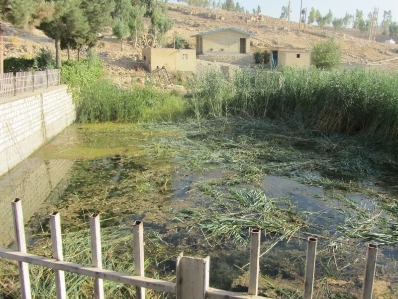 سراب گیلانغرب؛ ظرفیت گردشگری که زیر بار بیتوجهی نفس میکشد سراب گیلانغرب؛ ظرفیت گردشگری که زیر بار بیتوجهی نفس میکشد